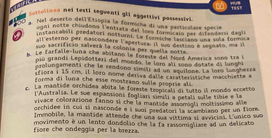 VERIFICA 
HUB 
TEST 
Sottolinea nei testi seguenti gli aggettivi possessivi.
600 a. Nel deserto dell´Etiopia le formiche di una particolare specie 
ogni notte chiudono l'entrata del loro formicaio per difendersi dagli 
instancabili predatori notturni. Le formiche lasciano una sola formica 
all'esterno per nascondere l'apertura: il suo destino è segnato, ma il 
suo sacrificio salverà la colonia per quella notte. 
b. Le farfalle-luna che abitano le foreste del Nord America sono tra i 
più grandi Lepidotteri del mondo, le loro ali sono dotate di lunghi 
prolungamenti che le rendono simili ad un aquilone. La loro lunghezza 
sfiora i 15 cm, il loro nome deriva dalle caratteristiche macchiette a 
forma di luna che esse mostrano sulle proprie ali. 
c. La mantide orchidea abita le foreste tropicali di tutto il mondo eccetto 
l’Australia. Le sue espansioni fogliari simili a petali sulle tibie e la 
vivace colorazione fanno sì che la mantide assomigli moltissimo alle 
orchidee in cui si nasconde e i suoi predatori la scambiano per un fiore. 
Immobile, la mantide attende che una sua vittima si avvicini. L’unico suo 
movimento è un lento dondolio che la fa rassomigliare ad un delicato 
fiore che ondeggia per la brezza.