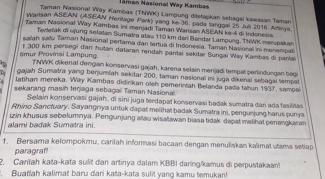 Taman Nasional Way Kambas 
Taman Nasional Way Kambas (TNWK) Lampung ditetapkan sebagai kawasan Taman 
Warisan ASEAN (ASEAN Heritage Park) yang ke- 36, pada tanggal 25 Juli 2016. Artinya, 
Taman Nasional Way Kambas ini menjadi Taman Warisan ASEAN ke- 4 di Indonesia. 
Terletak di ujung selatan Sumatra atau 110 km dari Bandar Lampung, TNWK merupakan 
salah satu Taman Nasional pertama dan tertua di Indonesia. Taman Nasional ini menempati
1.300 km persegi dari hutan dataran rendah pantai sekitar Sungai Way Kambas di pantai 
timur Provinsi Lampung. 
aga 
TNWK dikenal dengan konservasi gajah, karena selain menjadi tempat perlindungan bagi 
Pa gajah Sumatra yang berjumlah sekitar 200, taman nasional ini juga dikenal sebagai tempat 
a latihan mereka. Way Kambas didirikan oleh pemerintah Belanda pada tahun 1937, sampai 
sekarang masih terjaga sebagai Taman Nasional. 
Selain konservasi gajah, di sini juga terdapat konservasi badak sumatra dan ada fasilitas 
Rhino Sanctuary. Sayangnya untuk dapat melihat badak Sumatra ini, pengunjung harus punya 
izin khusus sebelumnya. Pengunjung atau wisatawan biasa tidak dapat melihat penangkaran 
alami badak Sumatra ini. 
1. Bersama kelompokmu, carilah informasi bacaan dengan menuliskan kalimat utama setiap 
paragraf! 
2. Carilah kata-kata sulit dan artinya dalam KBBI daring/kamus di perpustakaan! 
. Buatlah kalimat baru dari kata-kata sulit yang kamu temukan!