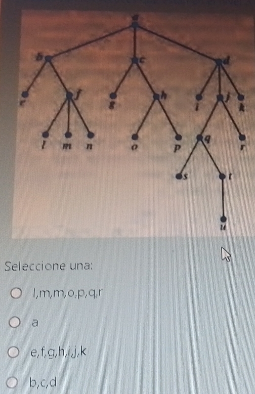 Seleccione una:
l, m, m, o, p, q, r
a
e, f, g, h, ij, k
b, c, d