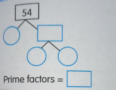 Prime factors =□