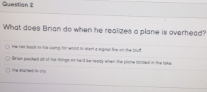 What does Brian do when he realizes a plane is overhead?
He ran back to his camp for wood to start a signal fire on the bluft
Brian packed all of his things so he'd be ready when the plone landed in the loke
He stiorted to cry