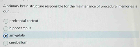 A primary brain structure responsible for the maintenance of procedural memories is
our_ .
prefrontal cortext
hippocampus
amygdala
cerebellum