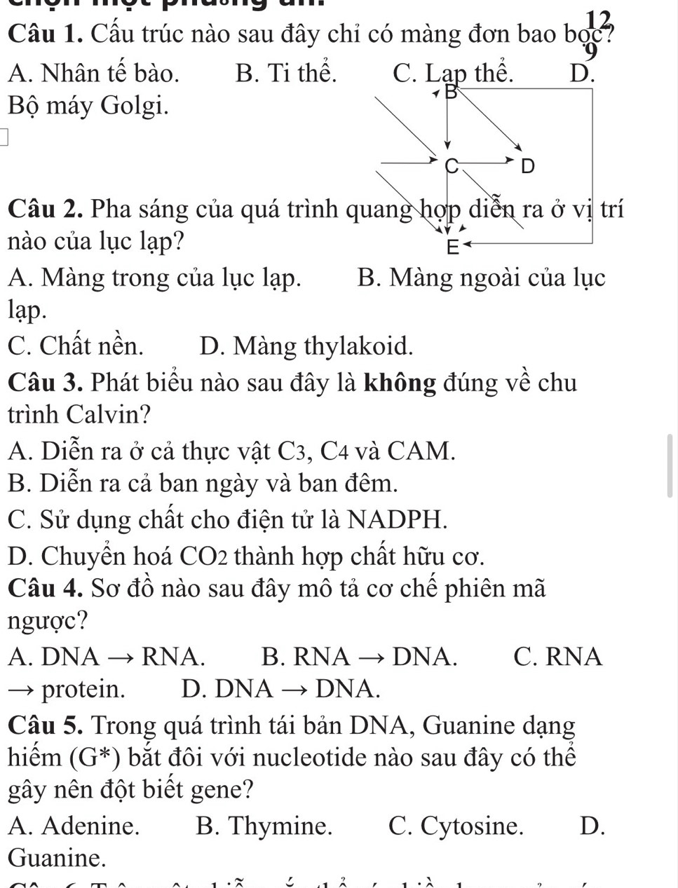 Cầu trúc nào sau đây chỉ có màng đơn bao bọc
9
A. Nhân tế bào. B. Ti thể. C. Lạp thể. D.
Bộ máy Golgi.
C D
Câu 2. Pha sáng của quá trình quang hợp diễn ra ở vị trí
nào của lục lạp? E
A. Màng trong của lục lạp. B. Màng ngoài của lục
lạp.
C. Chất nền. D. Màng thylakoid.
Câu 3. Phát biểu nào sau đây là không đúng về chu
trình Calvin?
A. Diễn ra ở cả thực vật C3, C4 và CAM.
B. Diễn ra cả ban ngày và ban đêm.
C. Sử dụng chất cho điện tử là NADPH.
D. Chuyển hoá CO2 thành hợp chất hữu cơ.
Câu 4. Sơ đồ nào sau đây mô tả cơ chế phiên mã
ngược?
A. DNA → RNA. B. RNA → DNA. C. RNA
→ protein. D. DNA → DNA.
Câu 5. Trong quá trình tái bản DNA, Guanine dạng
hiếm (G*) bắt đôi với nucleotide nào sau đây có thể
gây nên đột biết gene?
A. Adenine. B. Thymine. C. Cytosine. D.
Guanine.