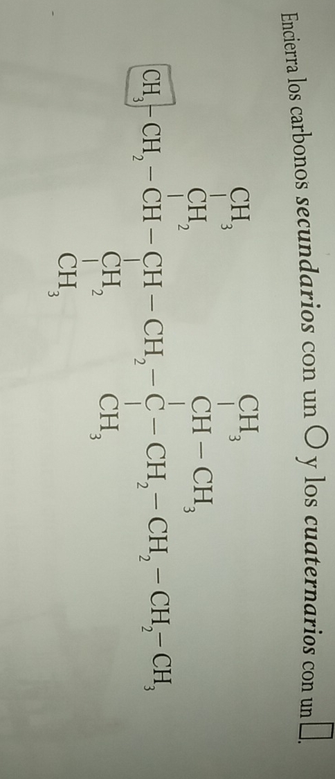 Encierra los carbonos secundarios con un O y los cuaternarios con un □