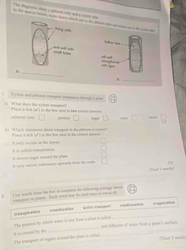 The diagrams show a phloem tube and a xylem tube
In the spaces below, write down wone is the phloem tube and which one is the xylem tobe
hollow tube
cell well
strengthened
with lignin
A:_
B:_
l Xylem and phloem transport substances through a plant 1-3
a) What does the xylem transport?
Place a tick (✓) in the box next to two correct answers.
mineral ions □ protein □ sugar □ water □ starch  □ /[2] 
b) Which statement about transport in the phloem is correct?
Place a tick (✔) in the box next to the correct answer.
It only occurs in the leaves. □ 
It is called transpiration.
□
It moves sugar around the plant. □
It only moves substances upwards from the roots. □ [1]
[Total 3 marks]
2 Use words from the box to complete the following passage about
3-4 
transport in plants. Each word may be used once or not at all
_
transpiration translocation active transport condensation evaporation
The process by which water is lost from a plant is called
and diffusion of water from a plant's surface.
It is caused by the
_
_
[Total 3 marks
The transport of sugars around the plant is called