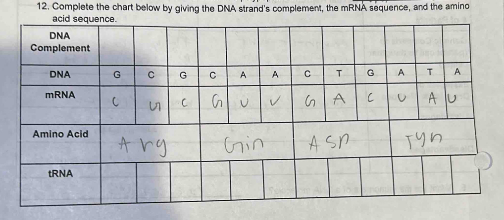 Solved: Complete the chart below by giving the DNA strand's complement ...