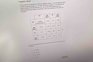 Pregunta 1 de 10
En las plantas de guisante, el alelo de plantas altas ( T) es dominante sobre
el alelo de plantas bajas (r). El aelo de flones vicletas ( .P) es dominante
sobre el alelo de fiores blancas ( p). Se cruran dos plantas que son
heterocigotas para ambos caracteres, como se muestra en el cuadro de
Punnett
Cuall en la probabiliciad de que una descerdência ses aña roe
mcrd n
B.0175 C.0.901%. o