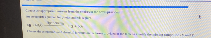 Choose the appropriate answers from the choices in the boxes provided.
An incomplete equation for photosynthesis is given.
6X+6H_2Oxrightarrow lightenergyY+6O_2
Choose the compounds and chemical formulas in the boxes provided in the table to identify the missing compounds X and Y.