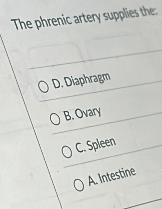 The phrenic artery supplies the:
D. Diaphragm
B. Ovary
C. Spleen
A. Intestine