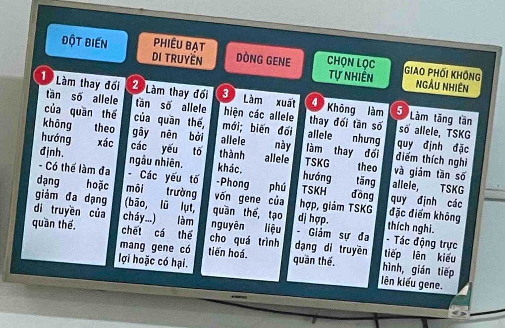 đột biến PhiÊu bạt 
DI TRUYEN DòNG GENE CHọn Lọc 
Giao Phối không 
Tự nhiên NgÂu NHiên 
1 Làm thay đối 2 Làm thay đối 3 Làm xuất 4 Không làm 5 Làm tăng tần 
tần số allele tần số allele hiện các allele thay đối tần số số allele, TSKG 
của quần thế của quần thế, mới; biến đối allele nhưng quy định đặc 
không theo gây nên bởi allele này làm thay đối điểm thích nghi 
hướng xác các yếu tố thành allele TSKG theo và giám tần số 
định. ngẫu nhiên. khác. hướng tǎng 
- Có thể làm đa - Các yếu tố -Phong phú TSKH đòng quy định các 
allele, TSKG 
_ 
dạng hoặc môi trường vốn gene của hợp, giảm TSKG đặc điểm không 
giám đa dạng (bāo, lū lụt, quần thế, tạo dị hợp. thích nghi. 
làm 
di truyền của cháy...) nguyên liệu - Giám sự đa - Tác động trực 
quần thế. chết cá thế cho quá trình dạng di truyền tiếp lên kiểu 
mang gene có tiến hoá. quần thế. hình, gián tiếp 
lợi hoặc có hại. ên kiểu gene.