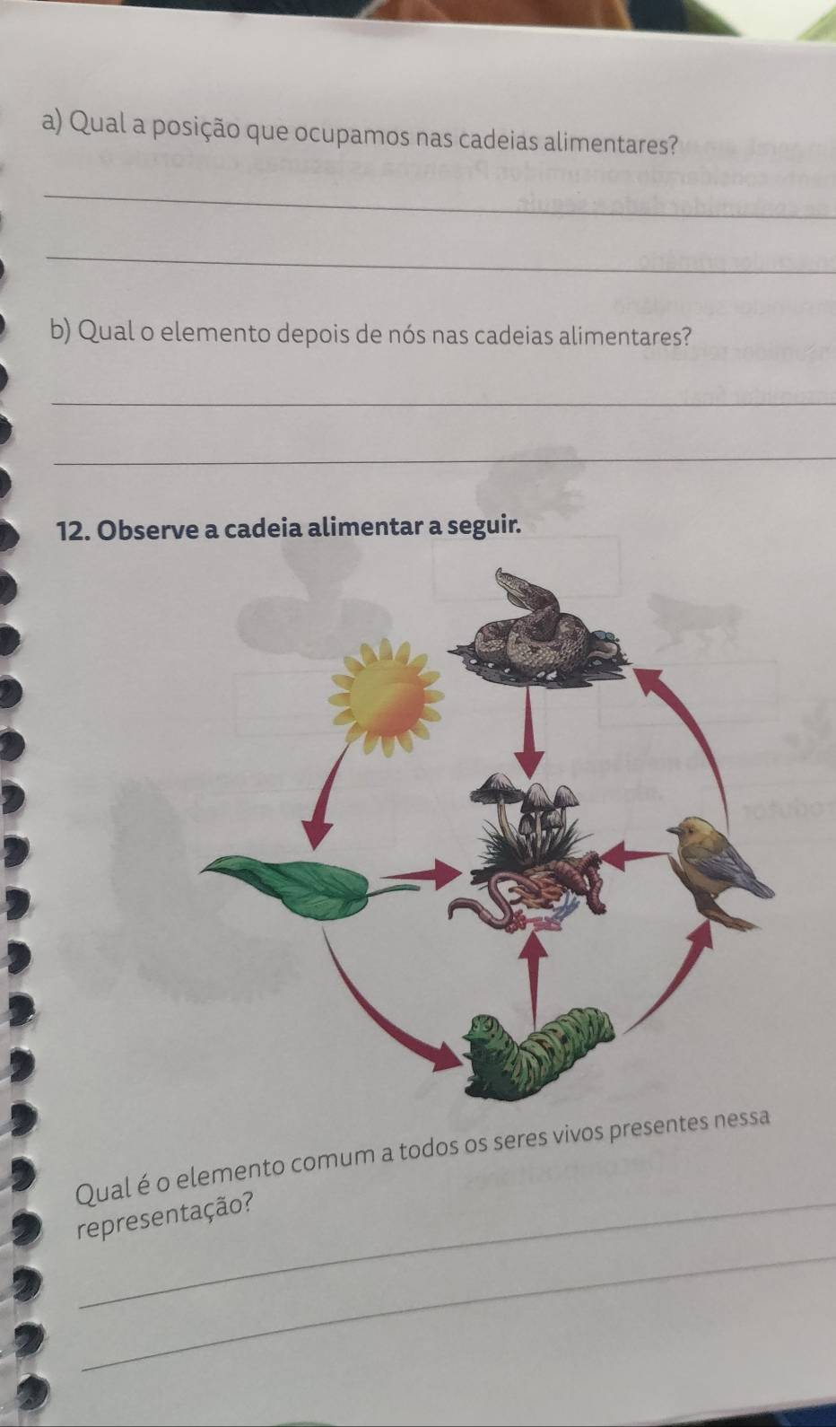 Qual a posição que ocupamos nas cadeias alimentares? 
_ 
_ 
b) Qual o elemento depois de nós nas cadeias alimentares? 
_ 
_ 
12. Observe a cadeia alimentar a seguir. 
Qual é o elemento comum a todos os seres vivos presentes 
_ 
representação?