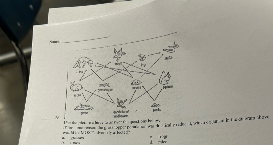 Name:
_26
Use the picture above to answer the questions below.
If for some reason the grasshopper population was drastically reduced, which organism in the diagram above
would be MOST adversely affected?
a. grasses c. frogs
b. foxes d. mice