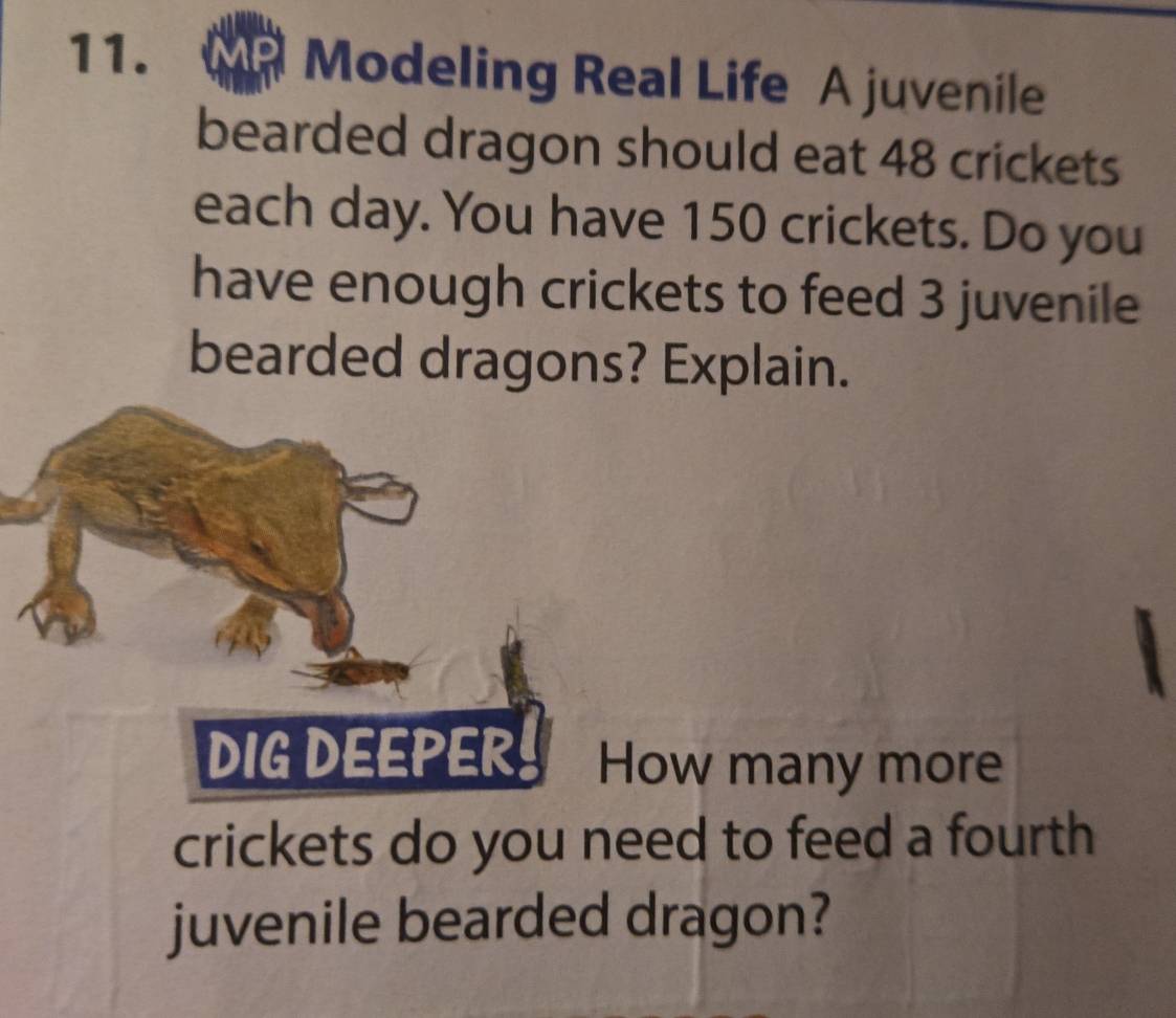 Modeling Real Life A juvenile 
bearded dragon should eat 48 crickets 
each day. You have 150 crickets. Do you 
have enough crickets to feed 3 juvenile 
bearded dragons? Explain. 
ow many more 
crickets do you need to feed a fourth 
juvenile bearded dragon?