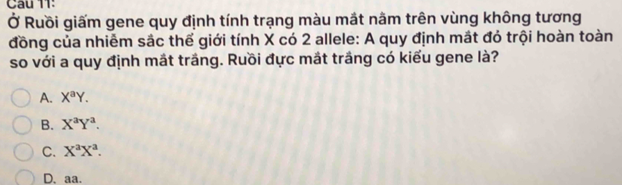 Cau 11:
Ở Ruồi giấm gene quy định tính trạng màu mắt nằm trên vùng không tương
đồng của nhiễm sắc thể giới tính X có 2 allele: A quy định mắt đỏ trội hoàn toàn
so với a quy định mắt trắng. Ruồi đực mắt trắng có kiểu gene là?
A. X^aY.
B. X^aY^a.
C. X^aX^a.
D、 aa.