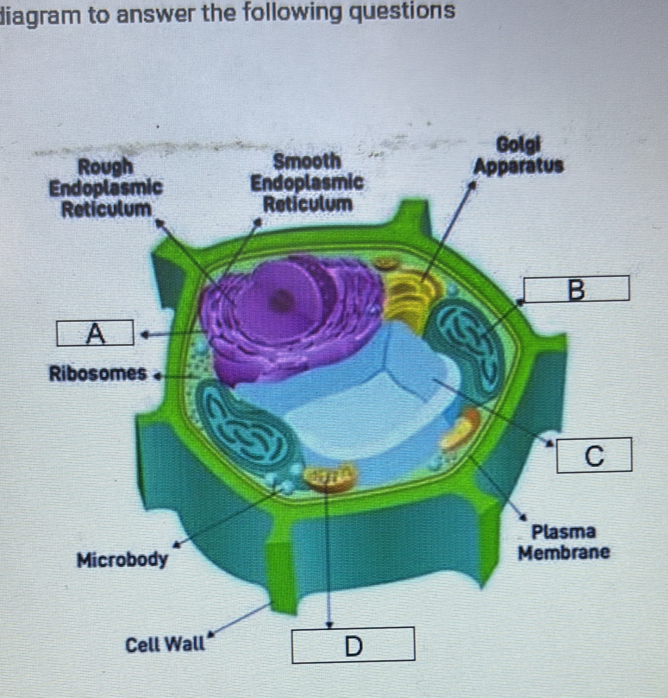 diagram to answer the following questions