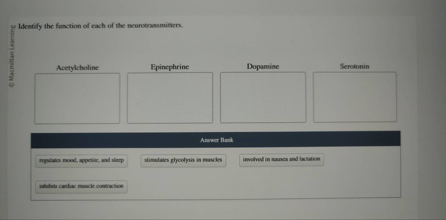 Identify the function of each of the neurotransmitters.
Acetylcholine Epinephrine Dopamine Serotonin
Answer Bank
regulates mood, appetite, and sleep stimulates glycolysis in muscles involved in nausea and lactation
inhibits cardiac muscle contraction