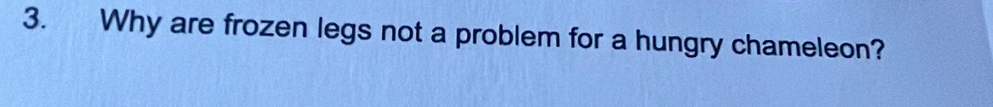 Why are frozen legs not a problem for a hungry chameleon?