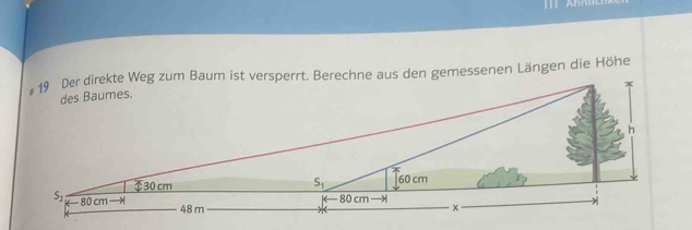 Der direkte Weg zum Baum ist versperrt. Berechne aus den gemessenen Längen die Höhe