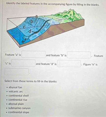 Solved: Identify the labeled features in the accompanying figure by ...