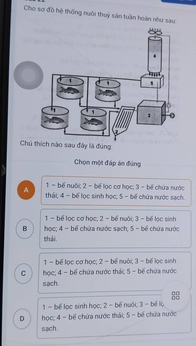 Cho sơ đồ hệ thống nuôi thuỷ sản tuần hoàn như sau:
Chú thích nào sau đây là đúng:
Chọn một đáp án đúng
1- bể nuôi; 2 - bể lọc cơ học; 3 - bể chứa nước
A thải; 4 - bể lọc sinh học; 5 - bể chứa nước sạch.
1- bể lọc cơ học; 2 - bể nuôi; 3 - bể lọc sinh
B hoc; 4 - bể chứa nước sach; 5 - bể chứa nước
thải.
1 - bể lọc cơ học; 2 - bể nuôi; 3 - bể lọc sinh
C học; 4 - bể chứa nước thải; 5 - bể chứa nước
sạch.
1 - bể lọc sinh học; 2 - bể nuôi; 3 - bể lọ
D học; 4 - bế chứa nước thải; 5 - bế chứa nước
sạch.