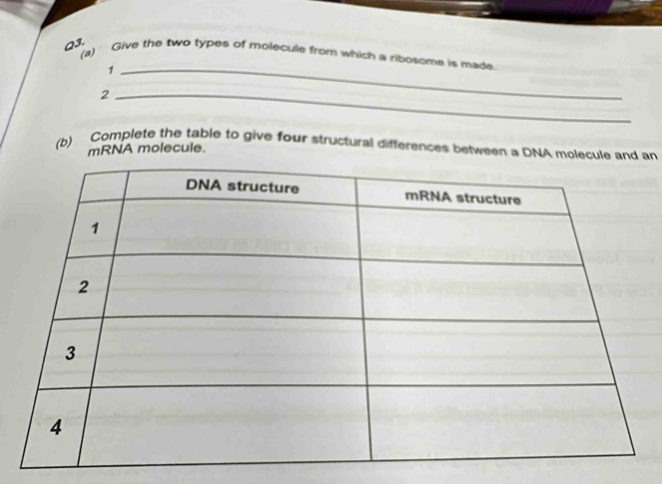 Give the two types of molecule from which a ribosome is made. 
_1 
_2 
(b) Complete the table to give four structural differences between a DNA molan 
mRNA molecule.