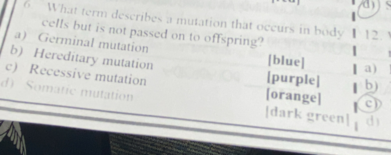 a
6. What term describes a mutation that occurs in body 12.
cells but is not passed on to offspring?
a) Germinal mutation
b) Hereditary mutation
[blue]
a)
[purple] b)
c) Recessive mutation [orange] c)
d) Somatic mutation |dark green| d