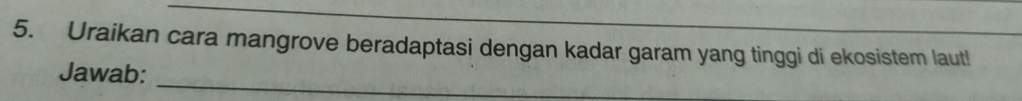 Uraikan cara mangrove beradaptasi dengan kadar garam yang tinggi di ekosistem laut! 
_ 
Jawab: