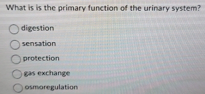 What is is the primary function of the urinary system?
digestion
sensation
protection
gas exchange
osmoregulation