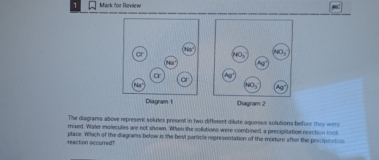 for Review
Diagram 1 Diagram 2
The diagrams above represent solutes present in two different dilute aqueous solutions before they were
mixed. Water molecules are not shown. When the solutions were combined, a precipitation reaction took
place. Which of the diagrams below is the best particle representation of the mixture after the precipitation
reaction occurred?