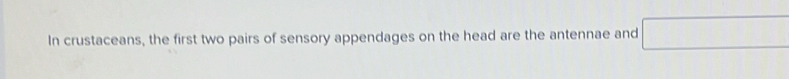 In crustaceans, the first two pairs of sensory appendages on the head are the antennae and □