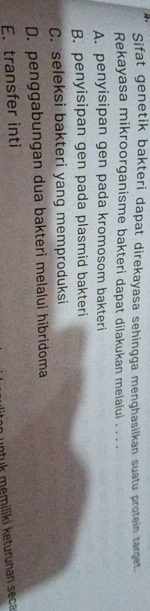 Sifat genetik bakteri dapat direkayasa sehingga menghasilkan suatu protein target.
Rekayasa mikroorganisme bakteri dapat dilakukan melalui . . . .
A. penyisipan gen pada kromosom bakteri
B. penyisipan gen pada plasmid bakteri
C. seleksi bakteri yang memproduksi
D. penggabungan dua bakteri melalui hibridoma
E. transfer inti
untuk memiliki keturunan seça