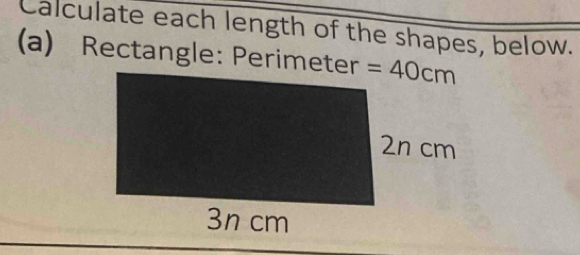 Calculate each length of the shapes, below.
(a) Rectangle: Perimeter