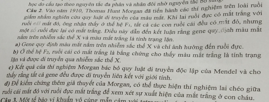 học do cấu tạo theo nguyên tắc đa phân và nhân đôi nhờ nguyên tắc bộ sun
Câu 2. Vào năm 1910, Thomas Hunt Morgan đã tiến hành các thí nghiệm trên loài ruồi
giấm nhằm nghiên cứu quy luật di truyền của màu mắt. Khi lai ruồi đực có mắt trăng với
ruồi cái mắt đỏ, ông nhận thấy ở thế hệ Fi, tất cả các con ruồi cái đều có mắt đỏ, nhưng
một số ruồi đực lại có mắt trắng. Điều này dẫn đến kết luận rằng gene quy ịh màu mắt
nằm trên nhiễm sắc thể X và màu mắt trắng là tính trạng lặn.
a) Gene quy định màu mắt nằm trên nhiễm sắc thể X và chỉ ảnh hưởng đến ruồi đực.
b) Ở thế hệ F₂, ruồi cái có mắt trắng là bằng chứng cho thấy màu mắt trắng là tính trạng
lăn và được di truyền qua nhiễm sắc thể X.
c) Kết quả của thí nghiệm Morgan bác bỏ quy luật di truyền độc lập của Mendel và cho
thấy rằng tất cả gene đều được di truyền liên kết với giới tính.
d) Để kiểm chứng thêm giả thuyết của Morgan, có thể thực hiện thí nghiệm lai chéo giữa
ruồi cái mắt đỏ với ruồi đực mắt trắng để xem xét sự xuất hiện của mắt trắng ở con cháu.
Câu 3. Một tế bào vị khuẩn vô cùng mẫn cảm với tạt