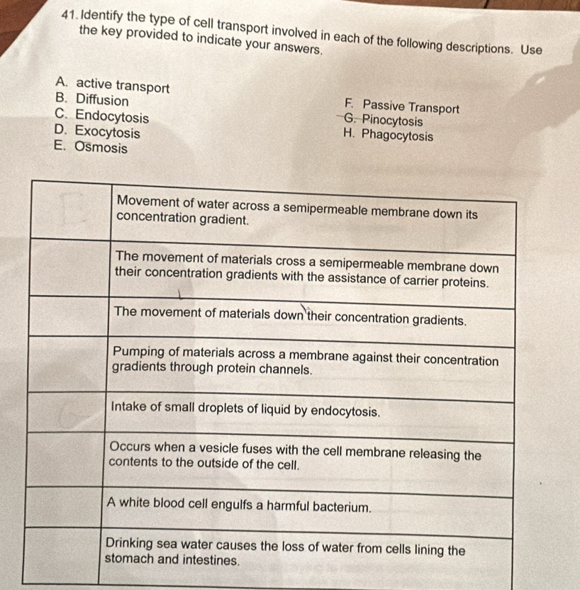 Identify the type of cell transport involved in each of the following descriptions. Use
the key provided to indicate your answers.
A. active transport F. Passive Transport
B. Diffusion G. Pinocytosis
C. Endocytosis H. Phagocytosis
D. Exocytosis
E. Osmosis