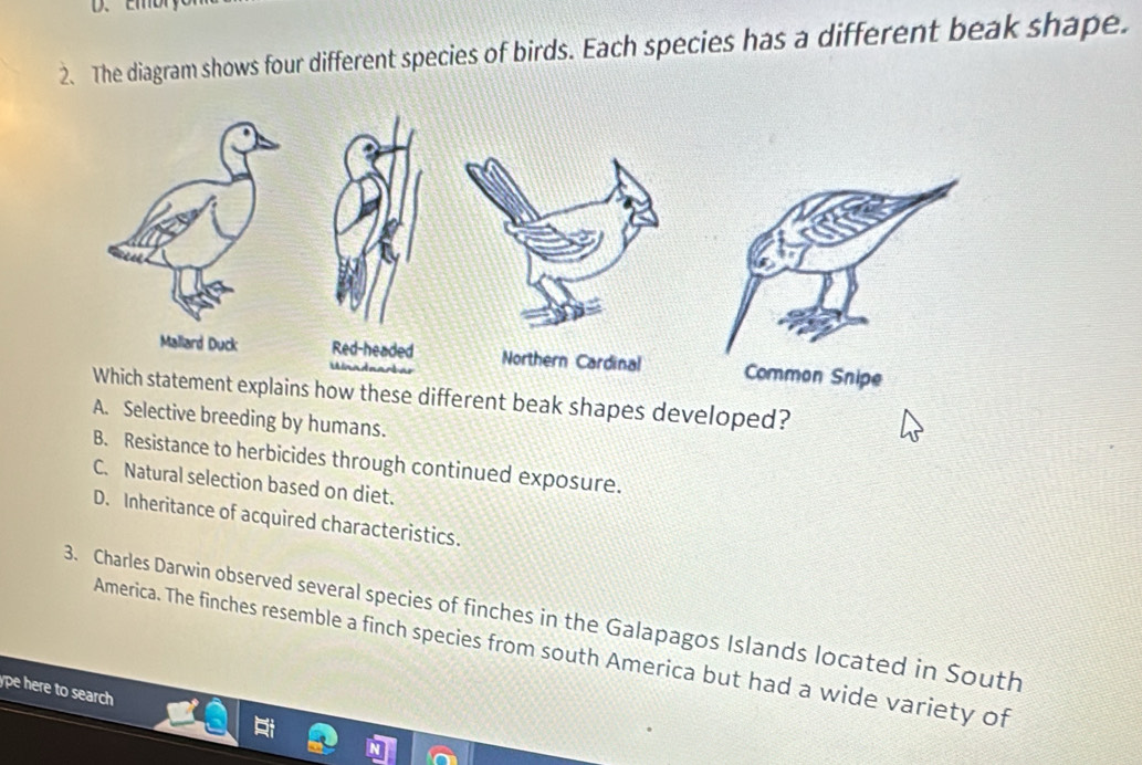 Solved: embry 2. The diagram shows four different species of birds ...