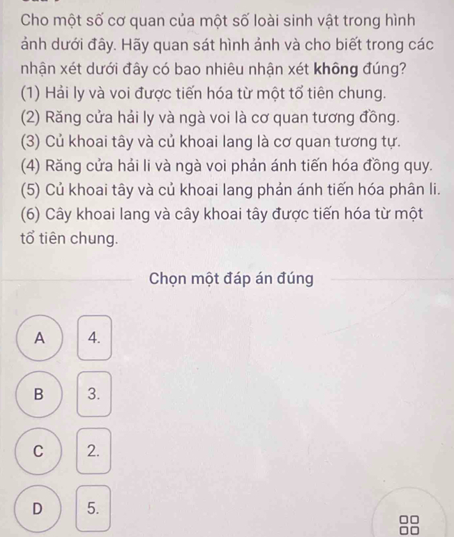 Cho một số cơ quan của một số loài sinh vật trong hình
ảnh dưới đây. Hãy quan sát hình ảnh và cho biết trong các
nhận xét dưới đây có bao nhiêu nhận xét không đúng?
(1) Hải ly và voi được tiến hóa từ một tổ tiên chung.
(2) Răng cửa hải ly và ngà voi là cơ quan tương đồng.
(3) Củ khoai tây và củ khoai lang là cơ quan tương tự.
(4) Răng cửa hải li và ngà voi phản ánh tiến hóa đồng quy.
(5) Củ khoai tây và củ khoai lang phản ánh tiến hóa phân li.
(6) Cây khoai lang và cây khoai tây được tiến hóa từ một
tổ tiên chung.
Chọn một đáp án đúng
A 4.
B 3.
C 2.
D 5.