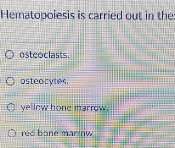 Hematopoiesis is carried out in the:
osteoclasts.
osteocytes.
yellow bone marrow.
red bone marrow.