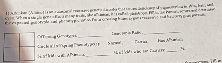 Albinism (Albino) is an autosomal recessive genetic disorder that causes deficiency of pigmentation in skin, hair, and 
eyes. When a single gene affects many traits, like albinism, it is called pleiotropy. Fill in the Punnett square and determine 
the expected genotypic and phenotypic ratios from crossing homozygous recessive and heterozygous parents. 
Offspring Genotypes: _Genotypic Ratio:_ 
Circle all offspring Phenotype(s): Normal, Carrier, Has Albinism
% of kids with Albinism:_ % of kids who are Carriers:_ %
nan ce. Fill in