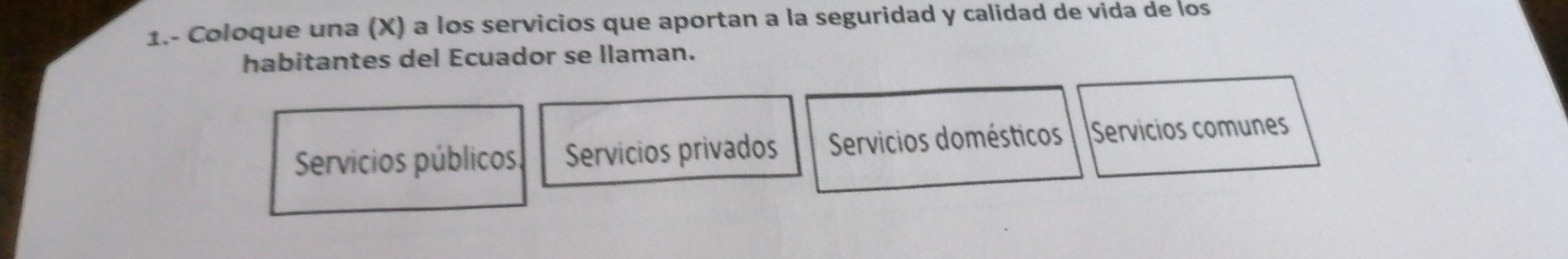 1.- Coloque una (X) a los servicios que aportan a la seguridad y calidad de vida de los
habitantes del Ecuador se llaman.
Servicios públicos. Servicios privados Servicios domésticos Servicios comunes