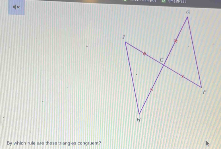 smetteess 
× 
By which rule are these triangles congruent?