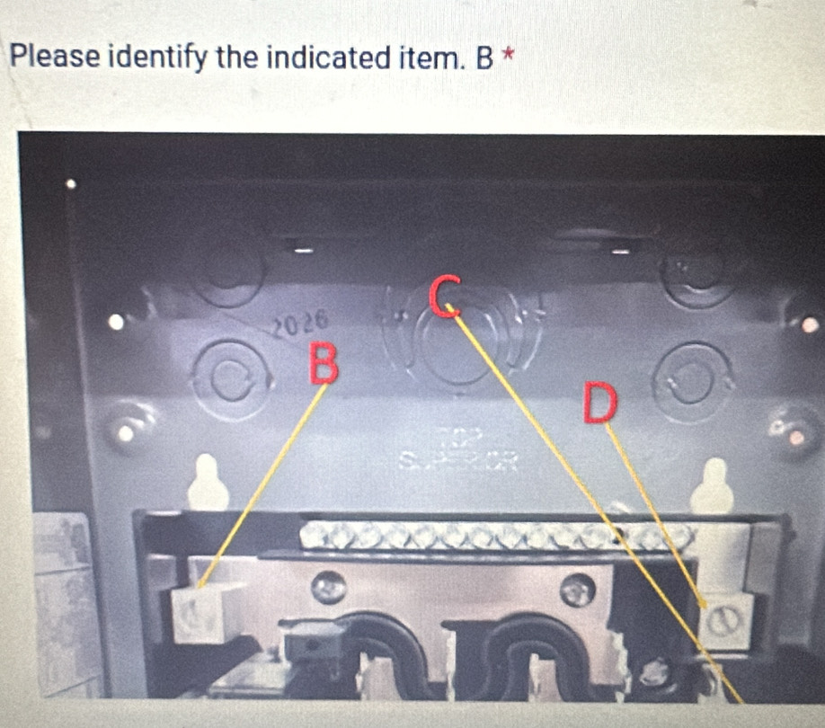 Please identify the indicated item. B *
2026
B
D