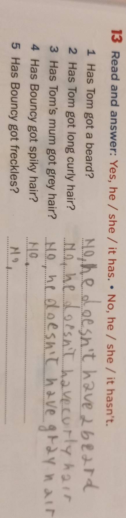 Read and answer: Yes, he / she / it has. • No, he / she / it hasn't. 
_ 
1 Has Tom got a beard? 
_ 
2 Has Tom got long curly hair? 
_ 
3 Has Tom's mum got grey hair? 
_ 
4 Has Bouncy got spiky hair? 
_ 
5 Has Bouncy got freckles?