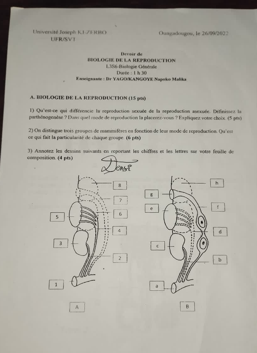 Université Joseph KI-ZERBO Ouagadougou, le 26/09/2022 
UFR/SVT 
Devoir de 
BIOLOGIE DE LA REPRODUCTION 
L3S6-Biologie Générale 
Durée : 1 h 30
Enseignante : Dr YAGO/KANGOYE Napoko Malika 
A. BIOLOGIE DE LA REPRODUCTION (15 pts) 
1) Qu'est-ce qui différencie la reproduction sexuée de la reproduction asexuée. Définissez la 
parthénogenèse ? Dans quel mode de reproduction la placerez-vous ? Expliquez votre choix. (5 pts) 
2) On distingue trois groupes de mammifères en fonction de leur mode de reproduction. Qu'est 
ce qui fait la particularité de chaque groupe. (6 pts) 
3) Annotez les dessins suivants en reportant les chiffres et les lettres sur votre feuille de 
composition. (4 pts) 
h 
g 
e 
f 
d 
C 
b 
a 
A 
B