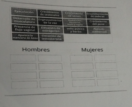 Hombres Mujeres