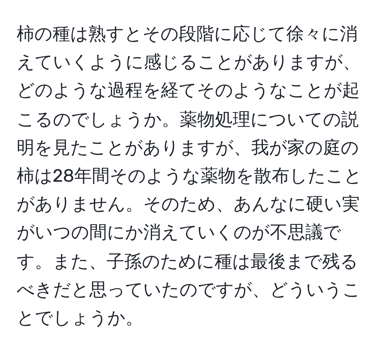 柿の種は熟すとその段階に応じて徐々に消えていくように感じることがありますが、どのような過程を経てそのようなことが起こるのでしょうか。薬物処理についての説明を見たことがありますが、我が家の庭の柿は28年間そのような薬物を散布したことがありません。そのため、あんなに硬い実がいつの間にか消えていくのが不思議です。また、子孫のために種は最後まで残るべきだと思っていたのですが、どういうことでしょうか。