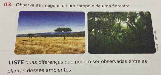 Observe as imagens de um campo e de uma floresta: 
LISTE duas diferenças que podem ser observadas entre as 
plantas desses ambientes.