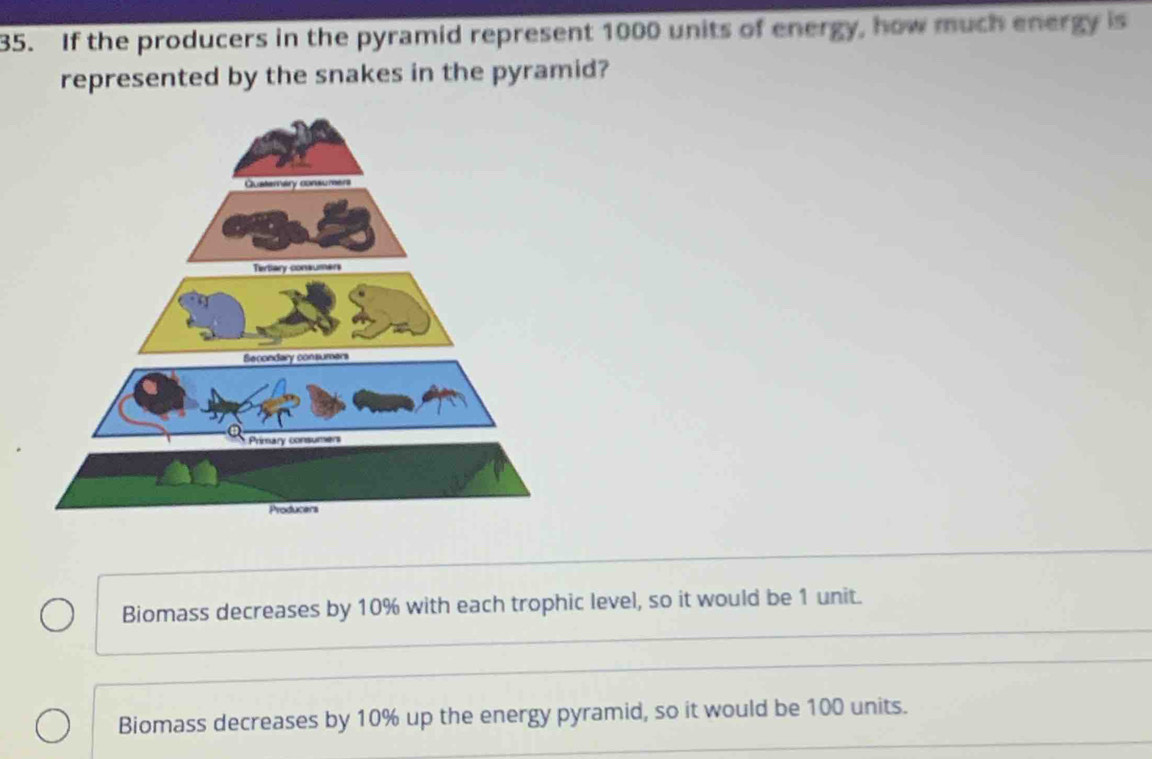 If the producers in the pyramid represent 1000 units of energy, how much energy is
represented by the snakes in the pyramid?
Biomass decreases by 10% with each trophic level, so it would be 1 unit.
Biomass decreases by 10% up the energy pyramid, so it would be 100 units.