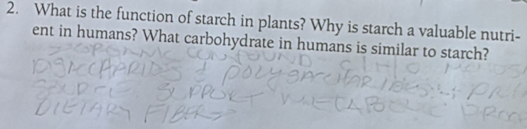 What is the function of starch in plants? Why is starch a valuable nutri- 
ent in humans? What carbohydrate in humans is similar to starch?