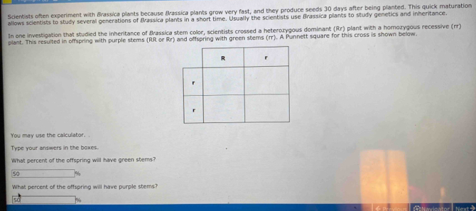 Scientists often experiment with Brassica plants because Brassica plants grow very fast, and they produce seeds 30 days after being planted. This quick maturation 
allows scientists to study several generations of Brassica plants in a short time. Usually the scientists use Brassica plants to study genetics and inheritance 
In one investigation that studied the inheritance of Brassica stem color, scientists crossed a heterozygous dominant (Rr) plant with a homozygous recessive (rr) 
plant. This resulted in offspring with purple stems (RR or Rr) and offspring with green stems (rr). A Punnett square for this cross is shown below. 
You may use the calculator. 
Type your answers in the boxes. 
What percent of the offspring will have green stems?
50 %
What percent of the offspring will have purple stems?
50 %
Navicator Next