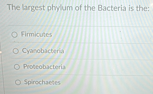 The largest phylum of the Bacteria is the:
Firmicutes
Cyanobacteria
Proteobacteria
Spirochaetes